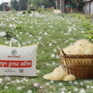 National Premium Shimul Head Pillow